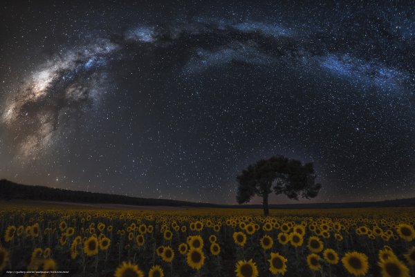 Космос Луна звезды