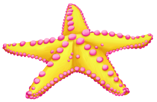 Морская звезда