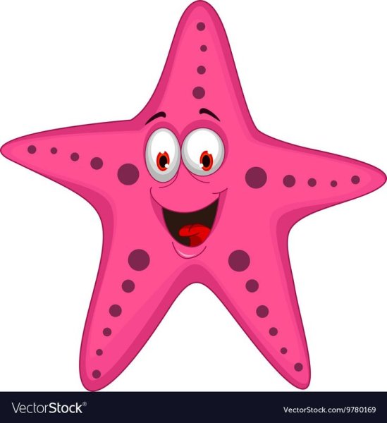 Веселая морская звезда