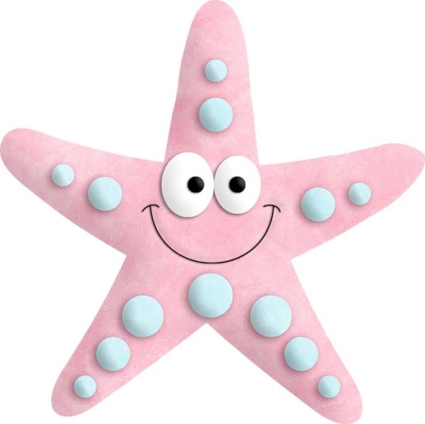 Морская звезда для детей