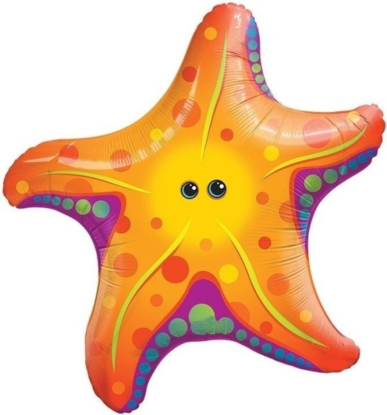 Морская звезда для детей