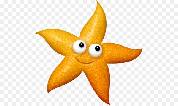 Морская звезда вектор