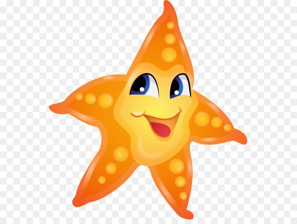 Морская Звездочка