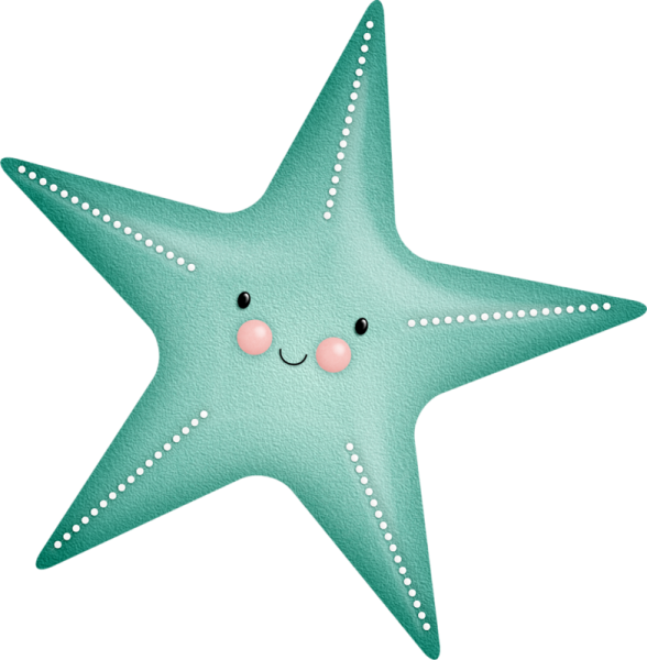 Морская Звездочка на белом фоне