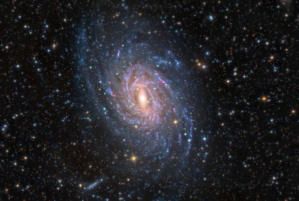 Соседние Галактики