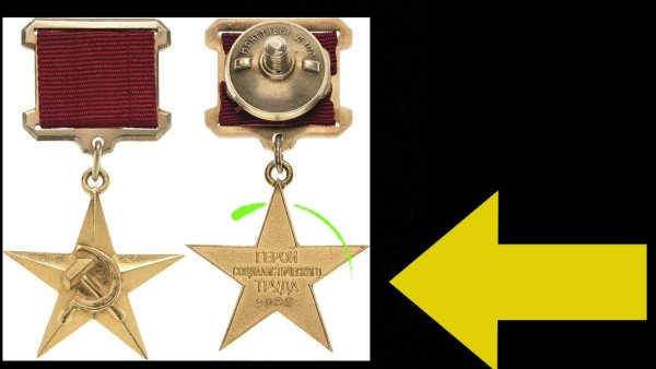 Золотая медаль «герой труда Российской Федерации»