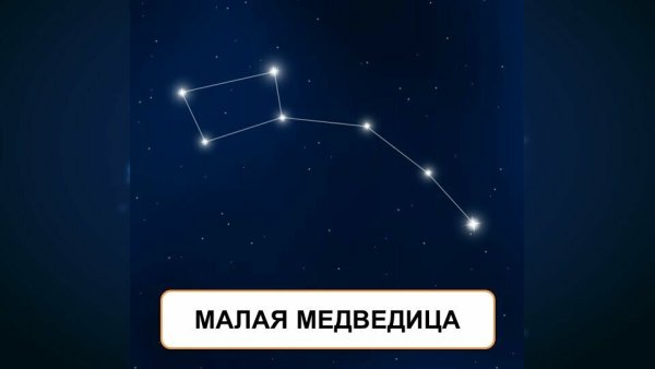 Созвездие малоц медведицы