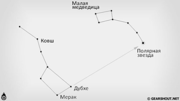 Малая Медведица Созвездие схема
