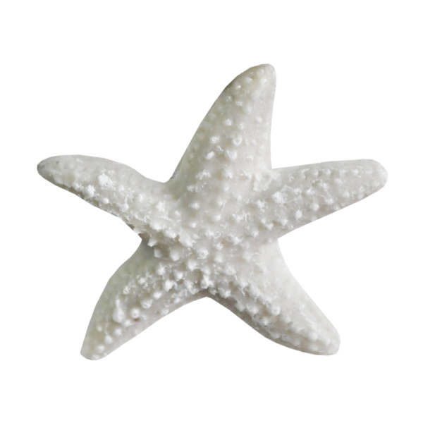 Белая морская звезда