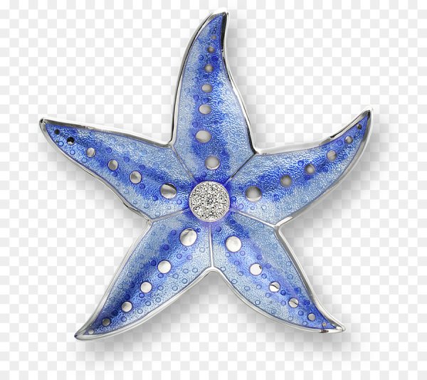 Морская звезда и ракушки