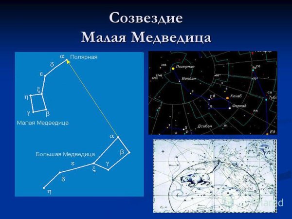 Полярная звезда Альфа малой медведицы