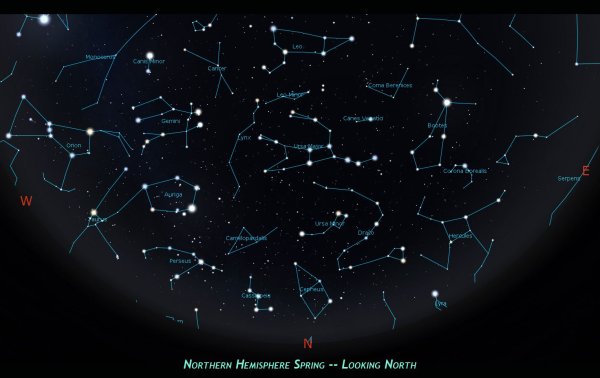 Орион, большая Медведица, Телец, большой пес, малый пес