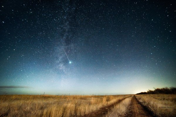 Звездное небо в поле