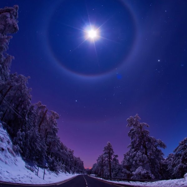 Звезда полей рубцов иллюстрации