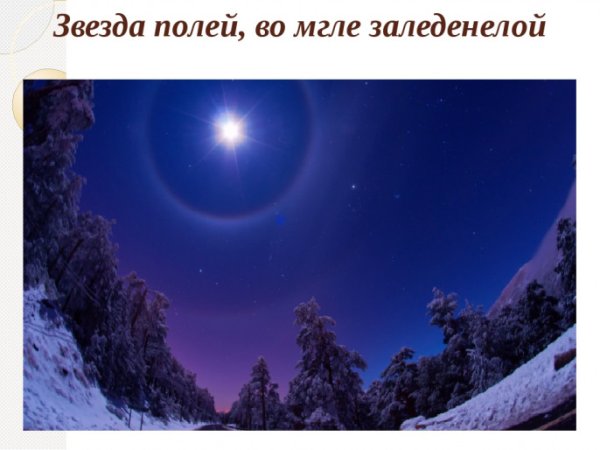 Рубцова звезда полей