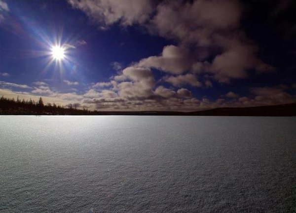Н.Рубцова "звезда полей"