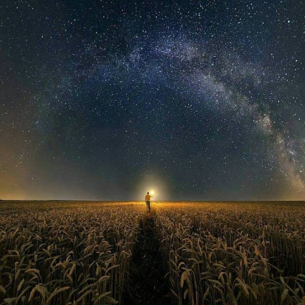 Ночное поле