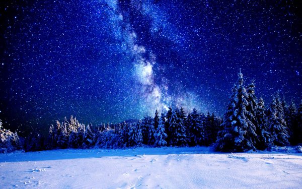 Зимний лес и звезды