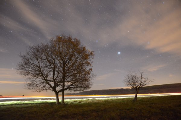 Звезда полей