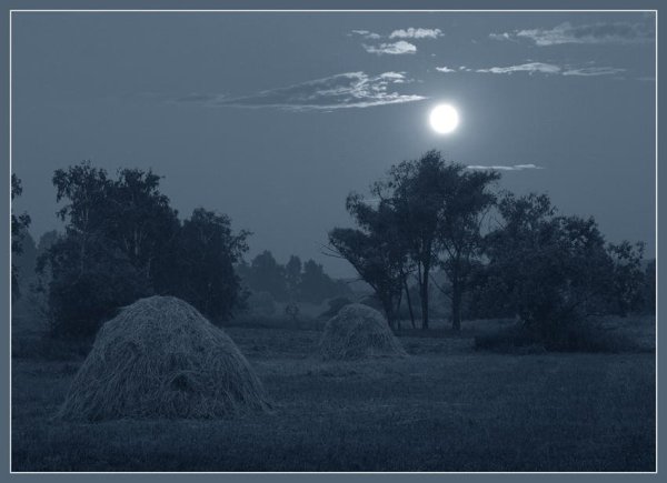 Иллюстрация к стихотворению Рубцова звезда полей