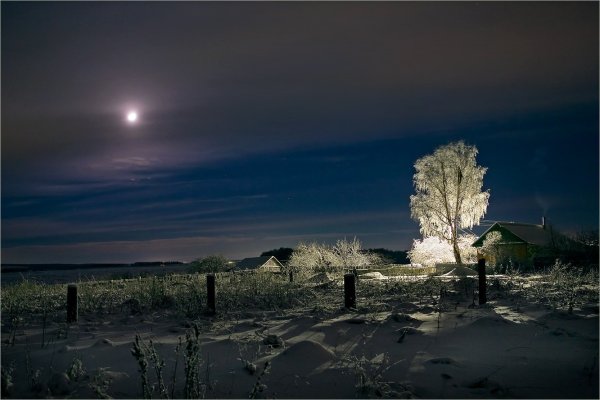 Ночная степь зимой