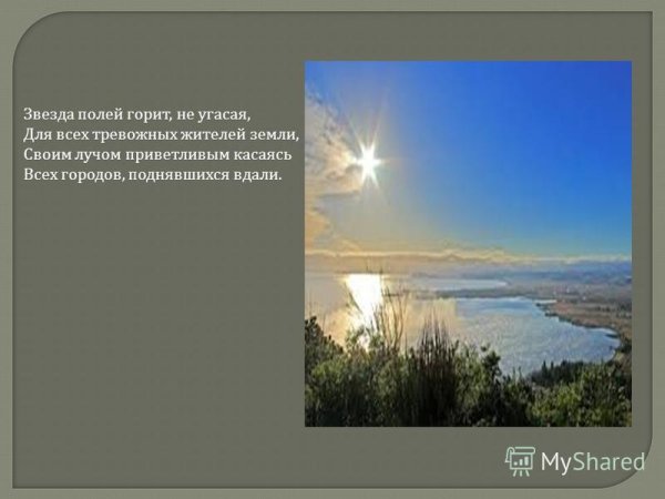 Купцов звезда полей