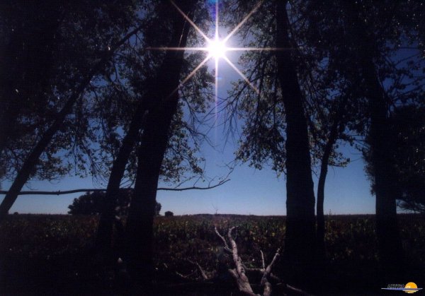 В небе незнакомая звезда