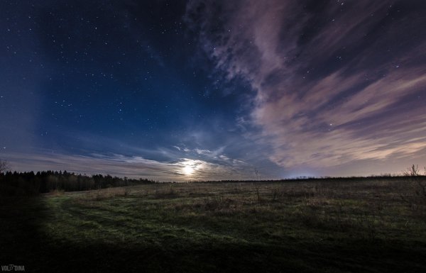 Звезда полей рубцов