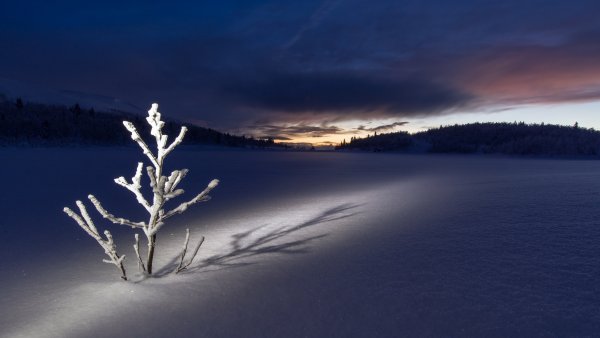 Снежное поле ночью