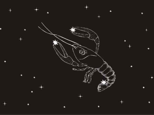 Созвездия знаков зодиака на черном фоне