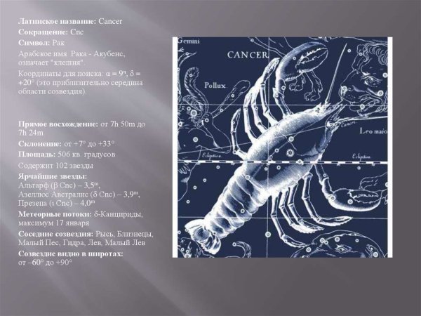 Скорпион знак Созвездие