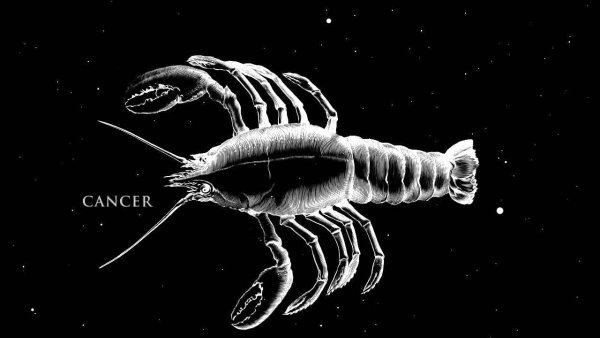 Cancer Zodiac Constellation