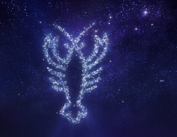 Созвездие и знак зодиака тату эскиз