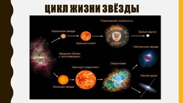 Каков жизненный цикл звезды гиганта