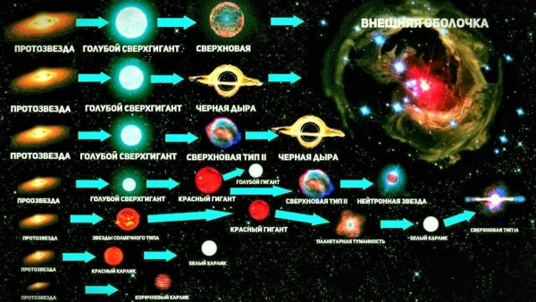 Жизненный цикл звезд протозвезда