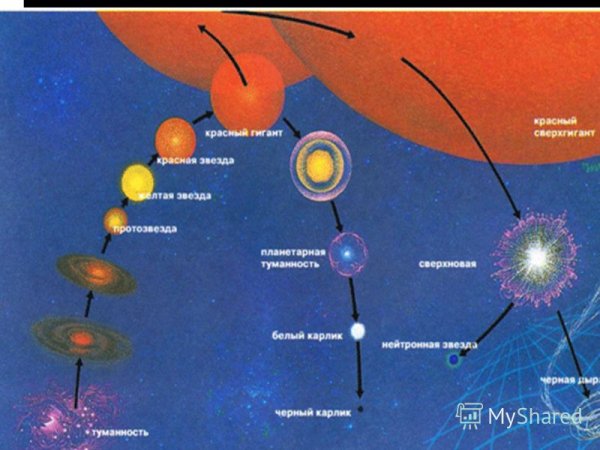 Анимация эволюции звезд