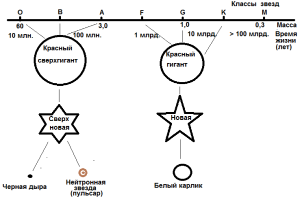 Белые карлики нейтронные звезды и черные дыры