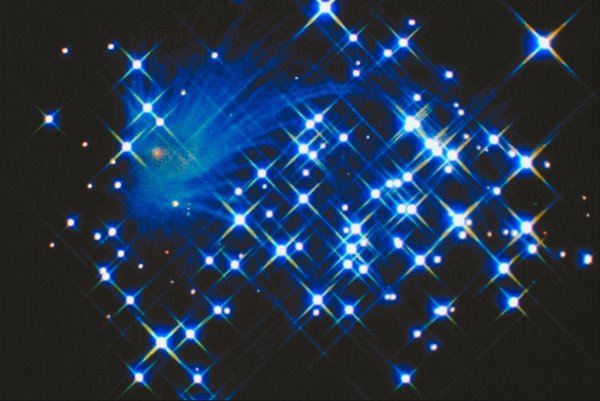 Сверкающие звезды