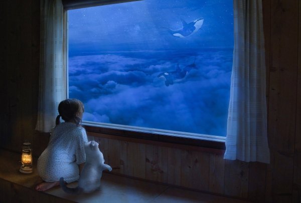 Ночное небо в окне