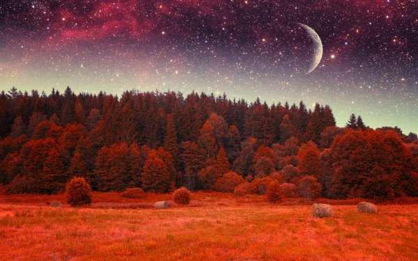 Звездное небо осенью