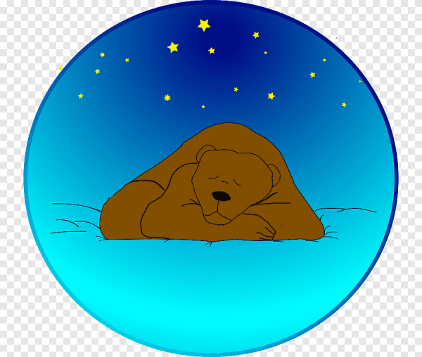 Спящий мишка