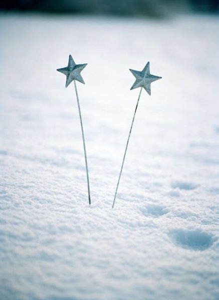 Звезда в сугробе