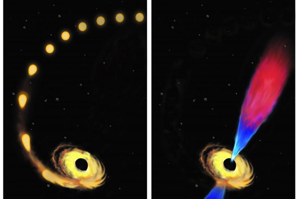 Рентгеновская двойная v 404 лебедя