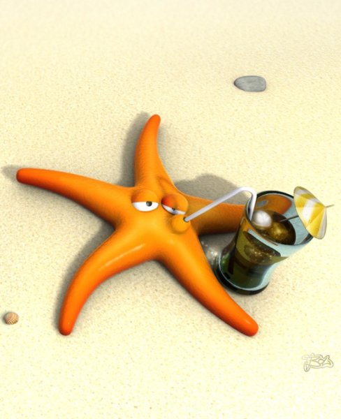 Прикольная морская звезда