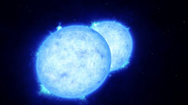 R136a1 и Стивенсон 2-18