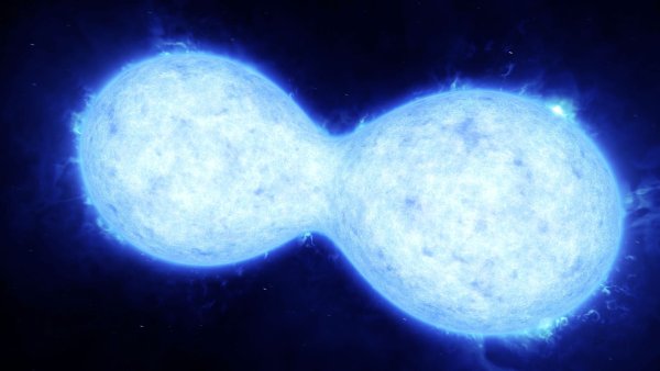 VFTS 352 двойная звезда