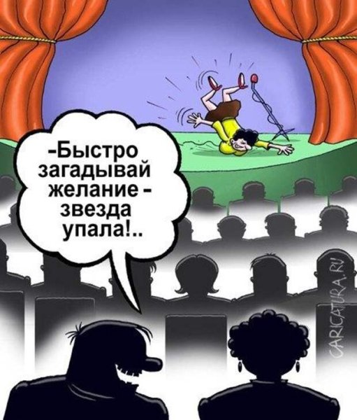 Кот и звезды