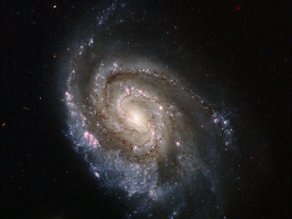 Спиральная Галактика NGC 5033