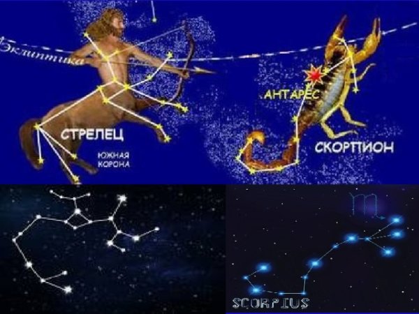 Созвездие Стрелец