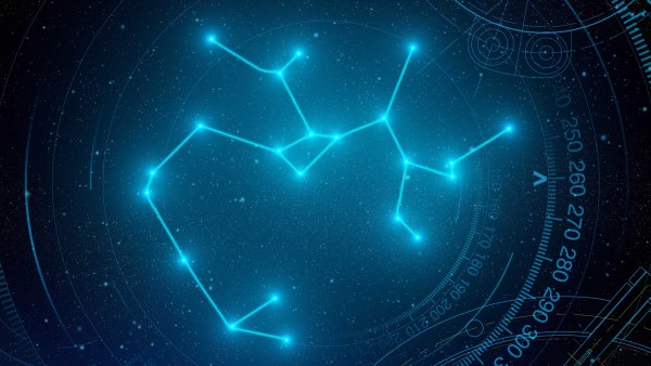 Созвездие Стрелец Кентавр